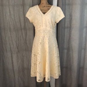 DE collection lace dress medium